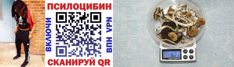 Галлюциногенные грибы прущие грибы  Купить  Ефремов 